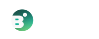 Theorie Briljant